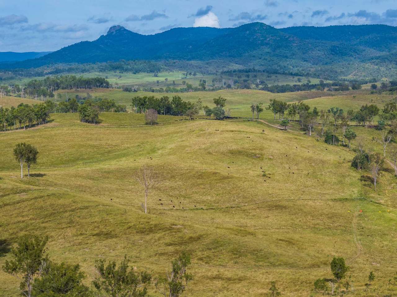 'Rosehill", Takilberan For Sale by Farmbuy.com - image 6
