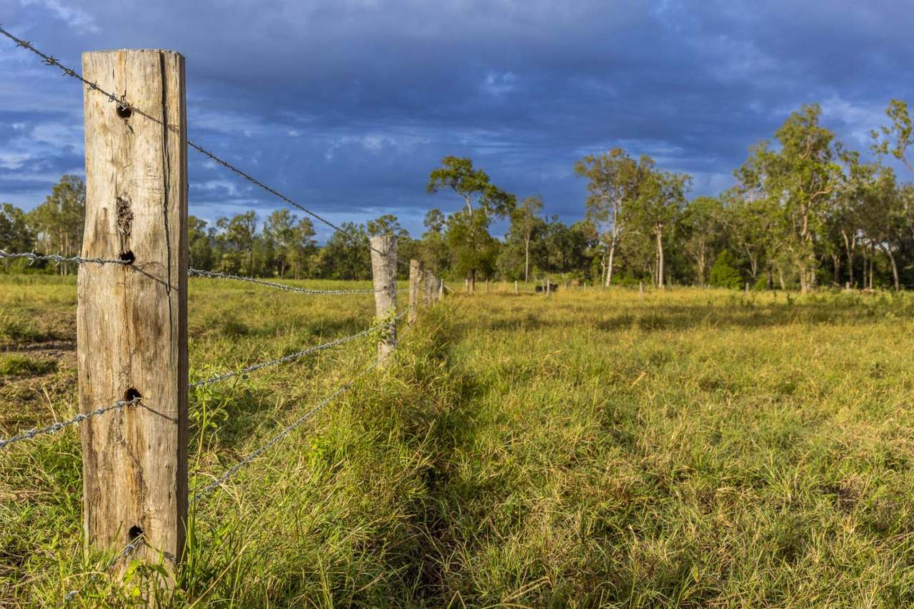 'Rosehill", Takilberan For Sale by Farmbuy.com - image 29