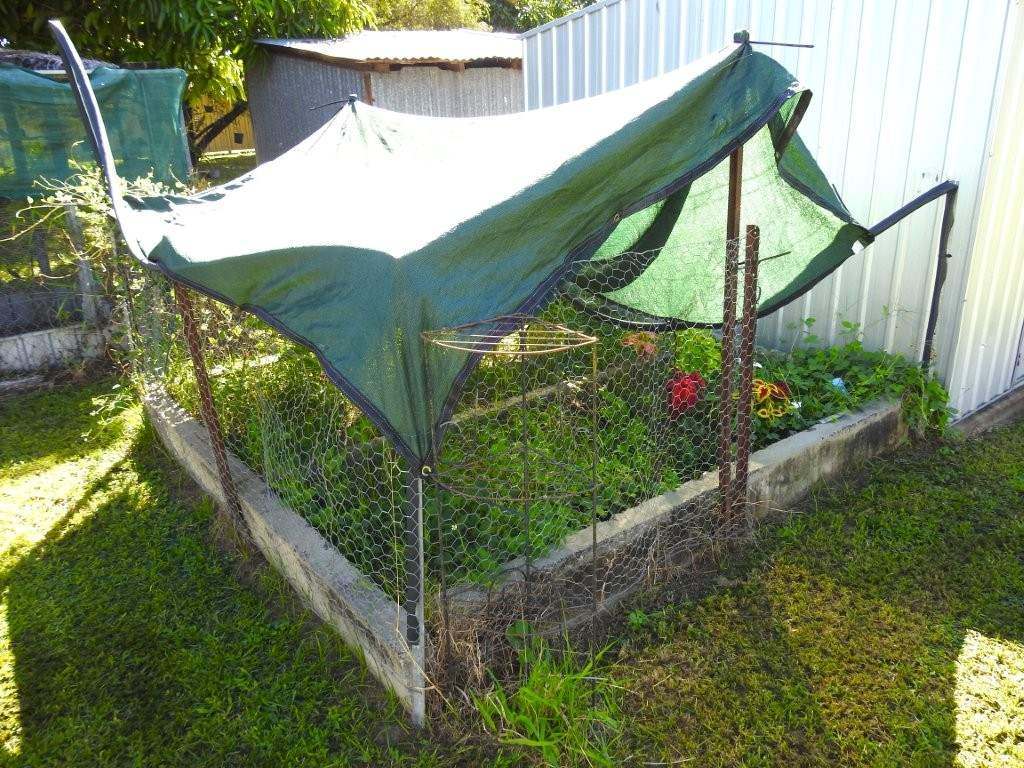 89 Stubley Street, Charters Towers Sold by Farmbuy.com - image 34