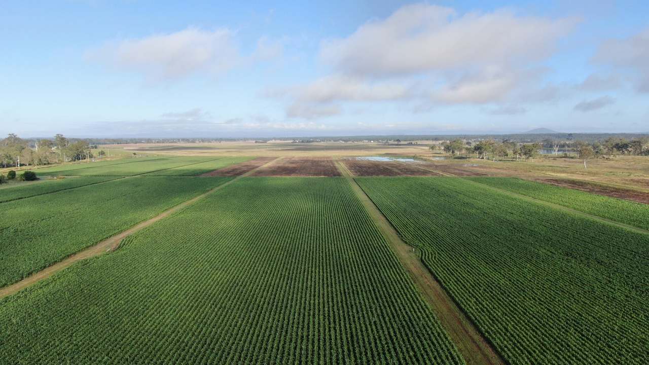 541 Mahons Road, Coominya Expressions of Interest by Farmbuy.com - image 4