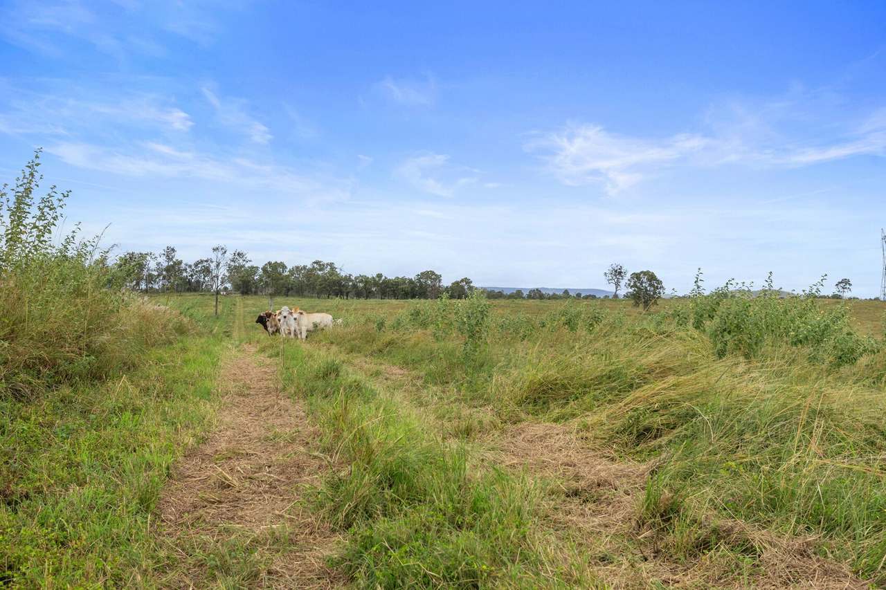 Lot 51 Staples Road, Woolooga For Sale by Farmbuy.com - image 3
