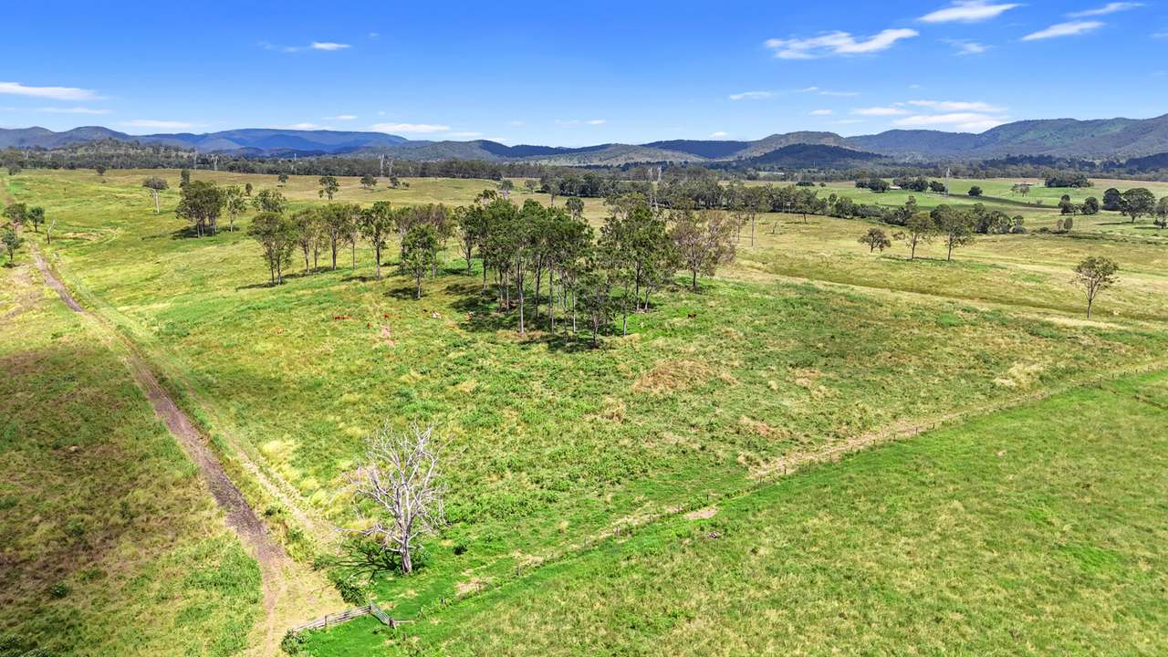 Lot 51 Staples Road, Woolooga For Sale by Farmbuy.com - image 5