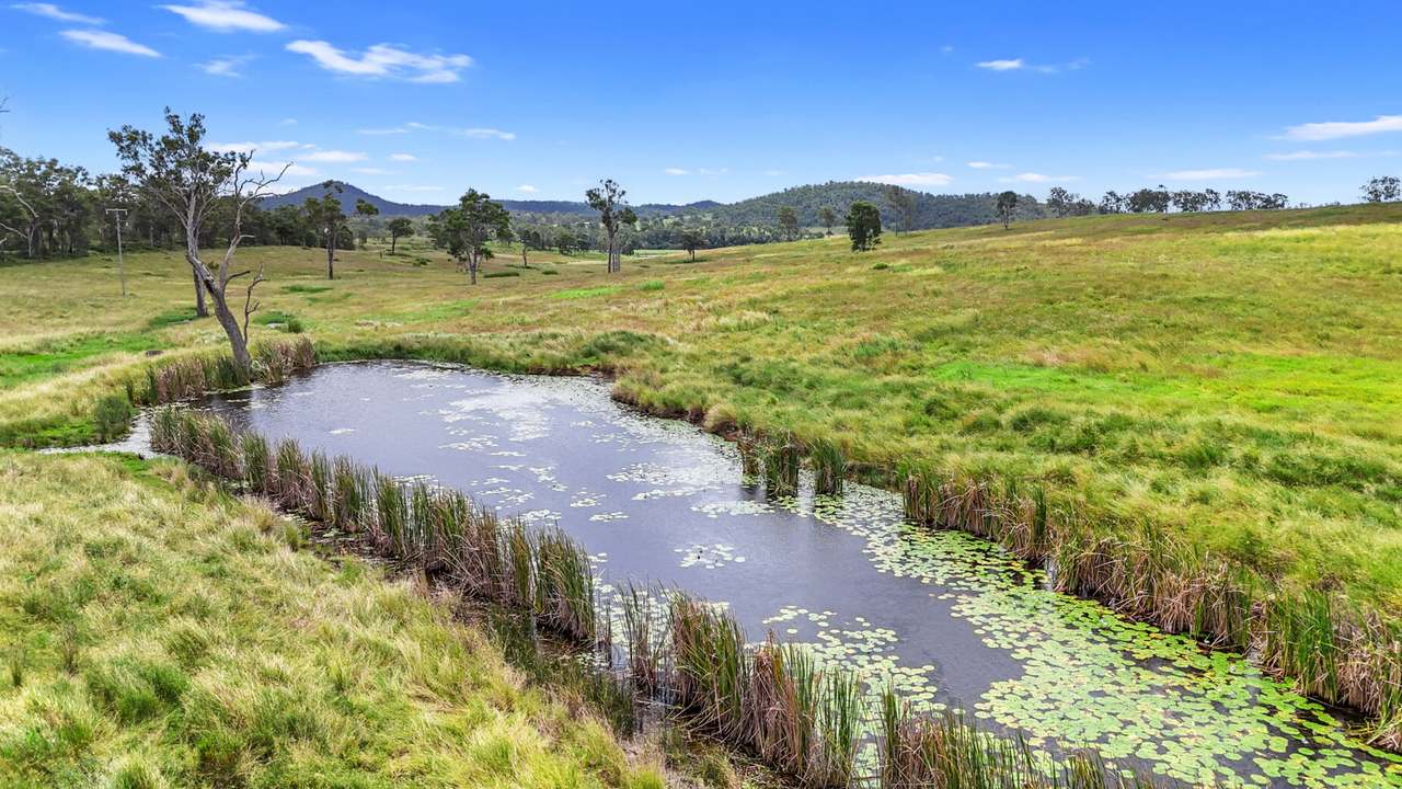 Lot 51 Staples Road, Woolooga For Sale by Farmbuy.com - image 2