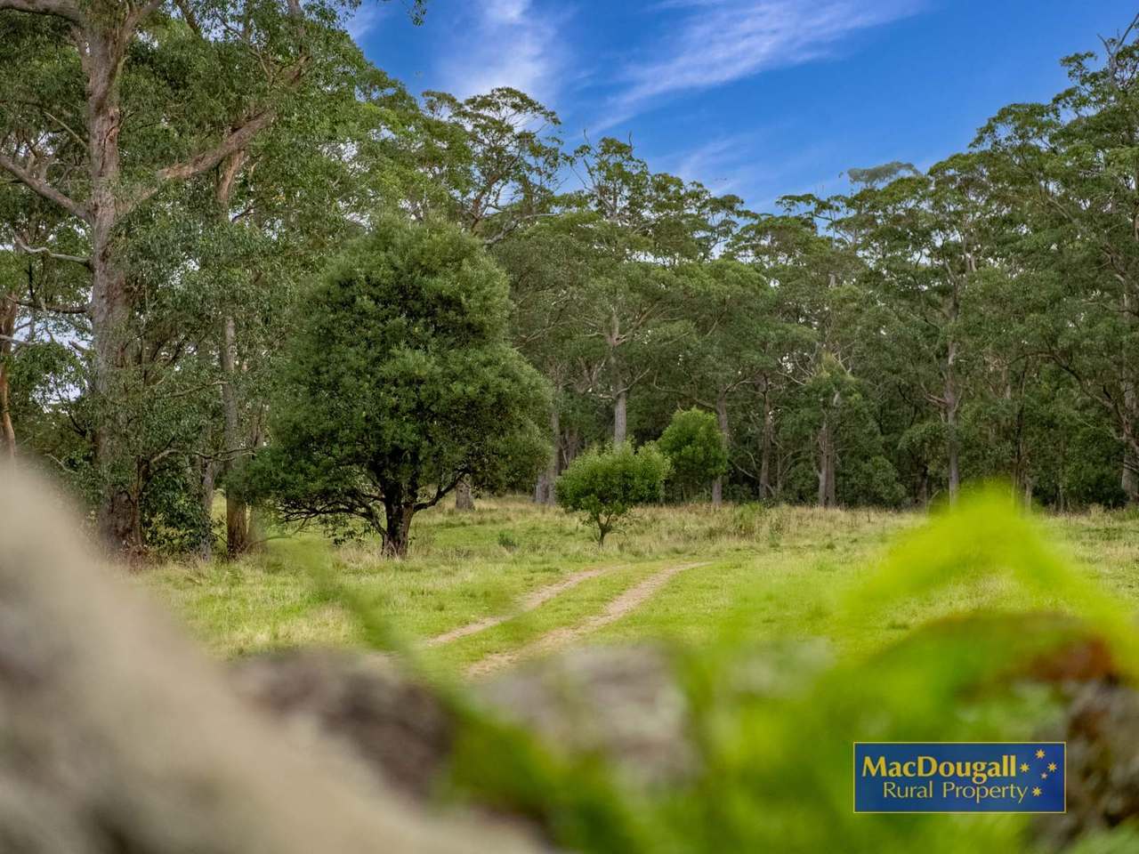 Wild Rock, Ebor Sold by Farmbuy.com - image 9