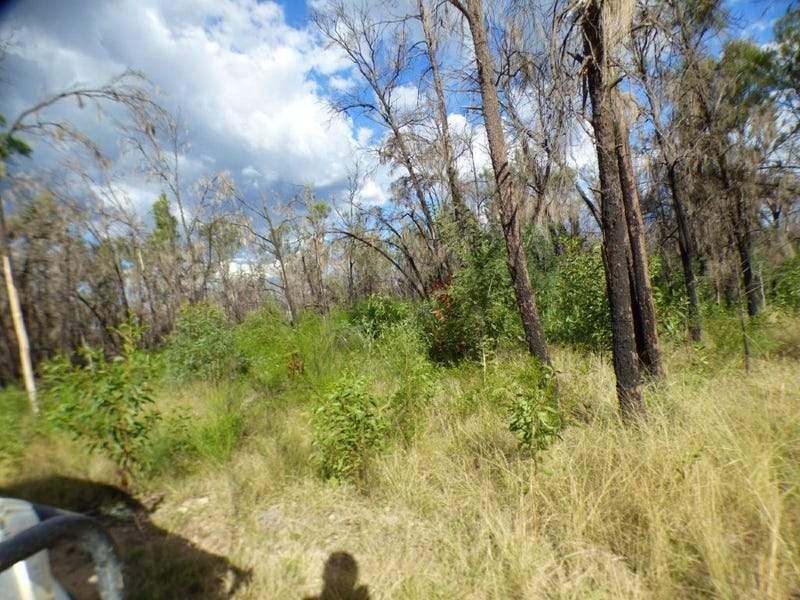 239 Joseph Road, TARA For Sale by Farmbuy.com - image 4