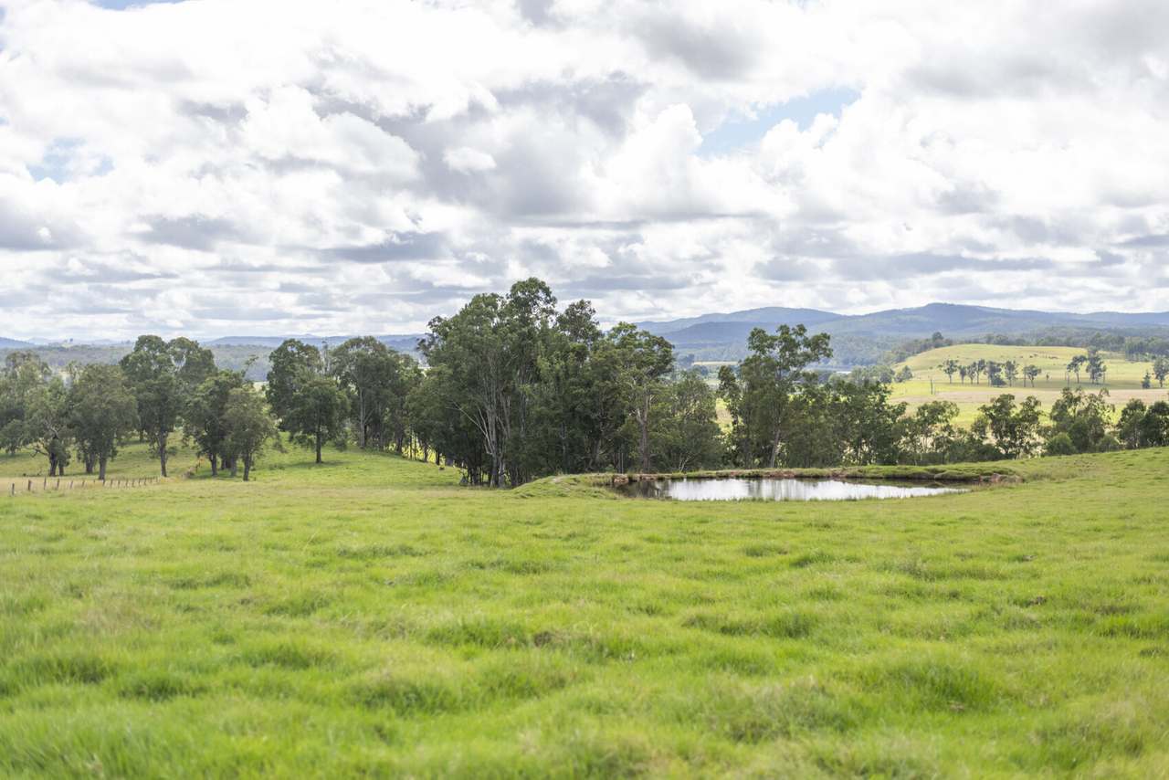 580 Purgatory Creek Road, Lilydale For Sale by Farmbuy.com - image 39