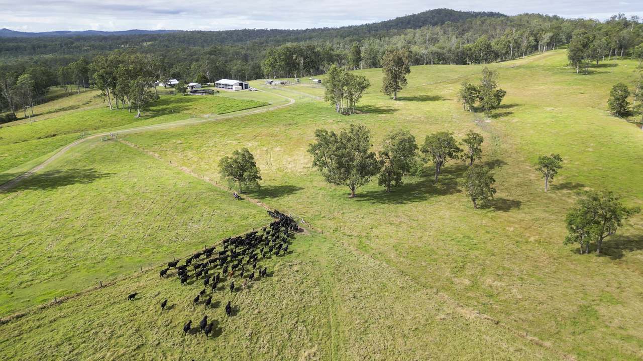 580 Purgatory Creek Road, Lilydale For Sale by Farmbuy.com - image 4
