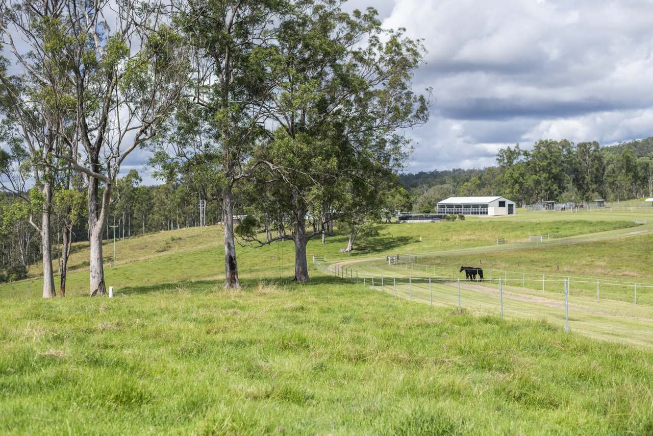 580 Purgatory Creek Road, Lilydale For Sale by Farmbuy.com - image 38