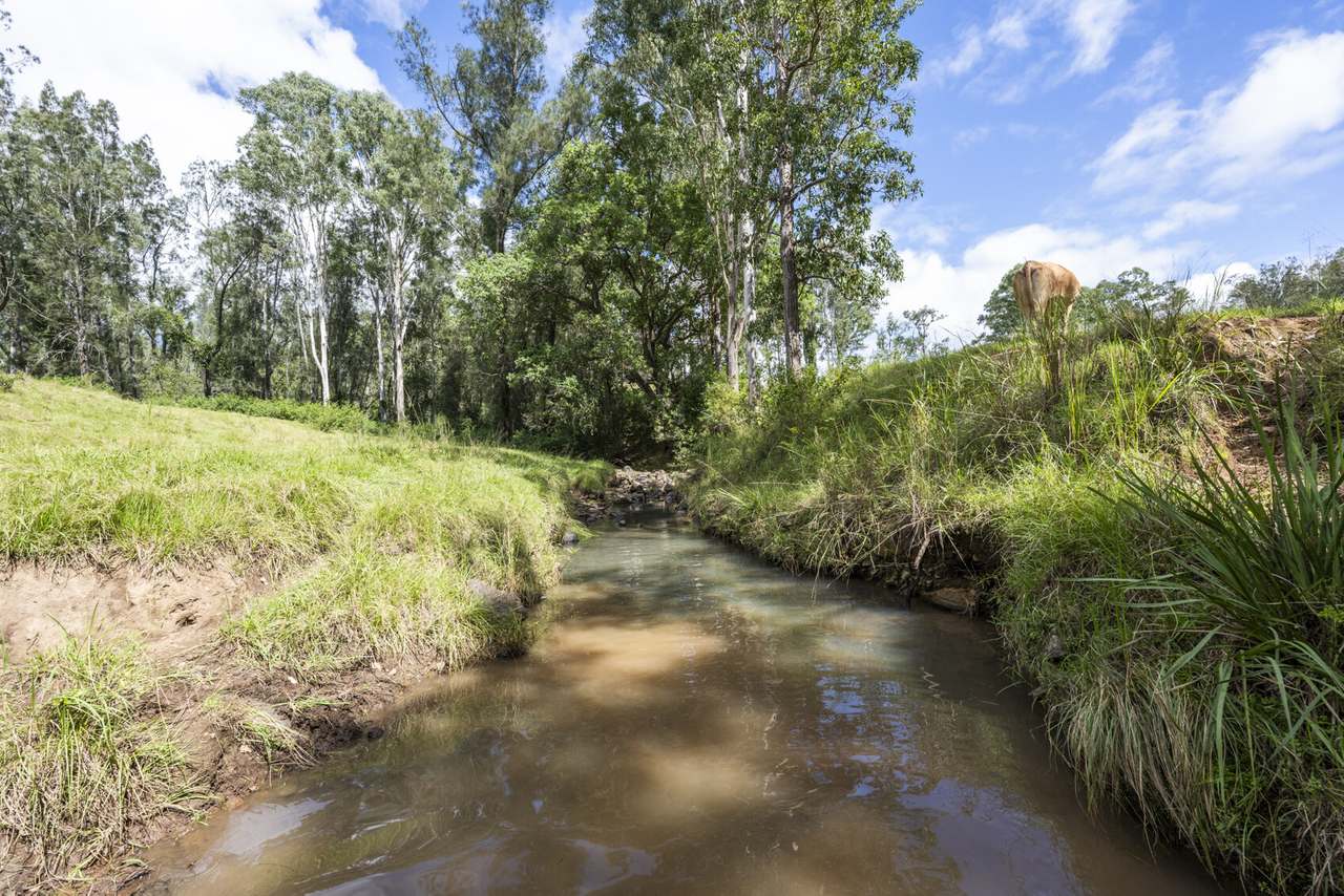 580 Purgatory Creek Road, Lilydale For Sale by Farmbuy.com - image 37