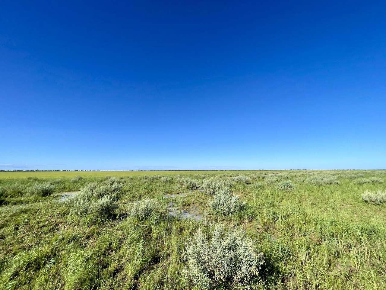 Tulmur Aggregation, Winton  For Sale by Farmbuy.com - image 4