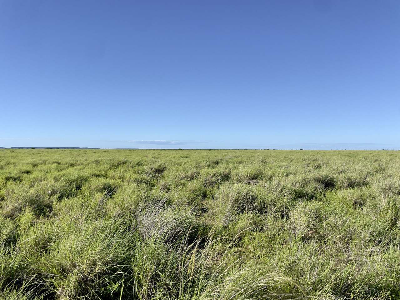 Tulmur Aggregation, Winton  For Sale by Farmbuy.com - image 1
