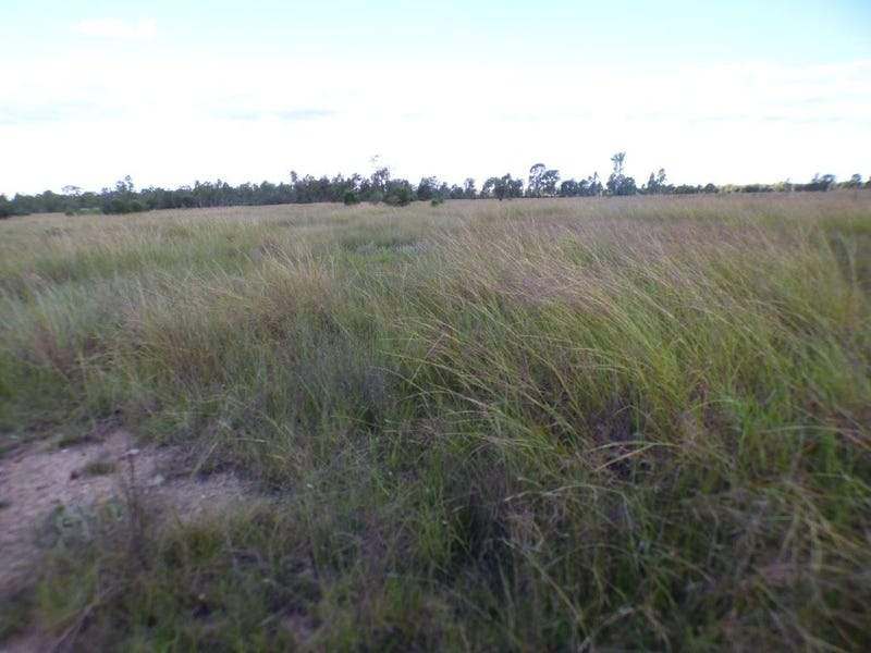 116 Kofoeds Road, TARA For Sale by Farmbuy.com - image 2