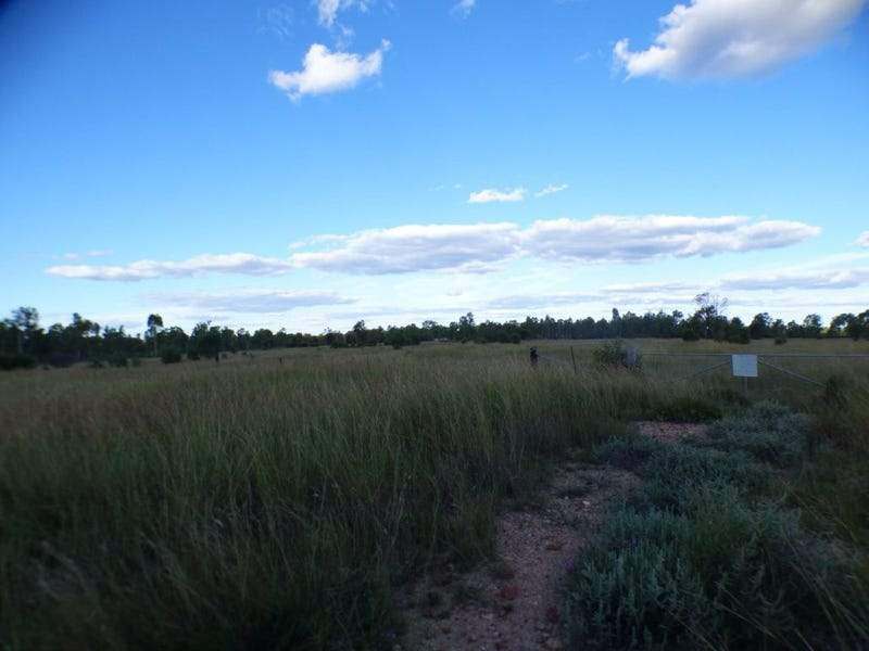 116 Kofoeds Road, TARA For Sale by Farmbuy.com - image 4