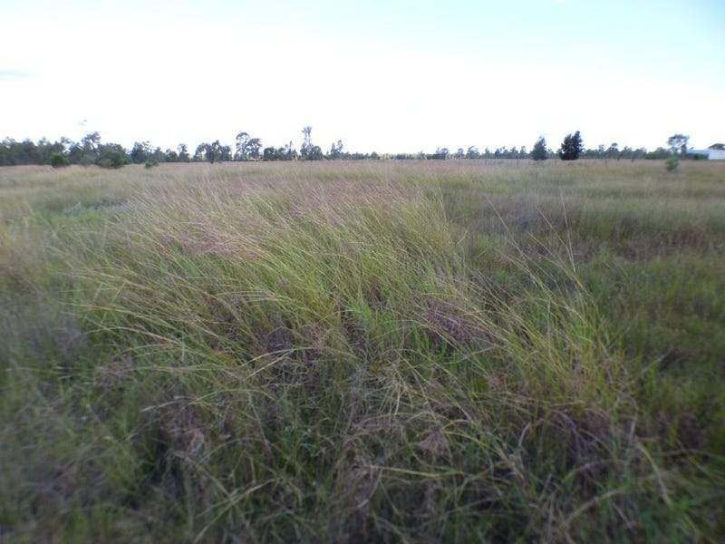 116 Kofoeds Road, TARA For Sale by Farmbuy.com - image 3