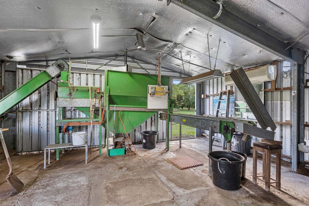 719 Scotchy Pocket Road, Scotchy Pocket For Sale by Farmbuy.com - image 22