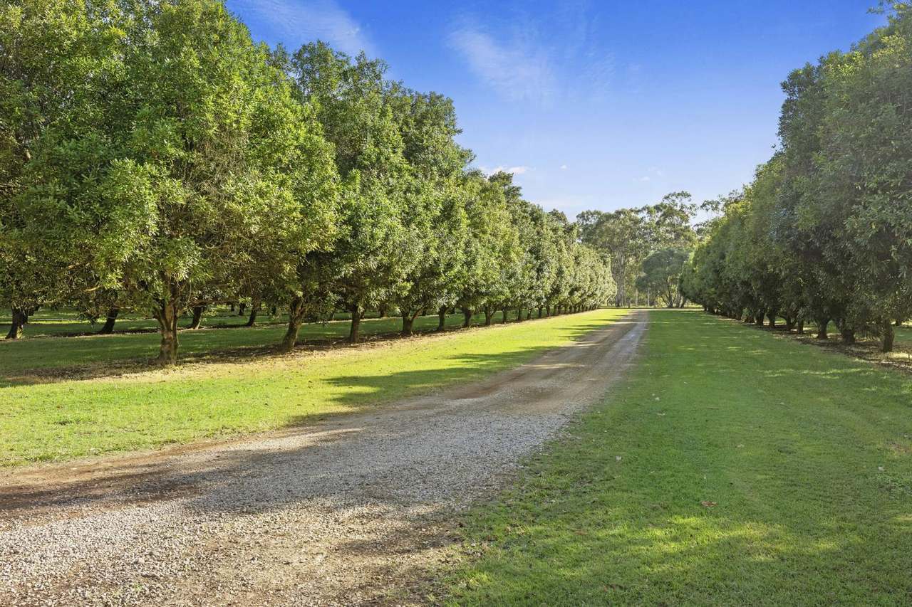 719 Scotchy Pocket Road, Scotchy Pocket For Sale by Farmbuy.com - image 25