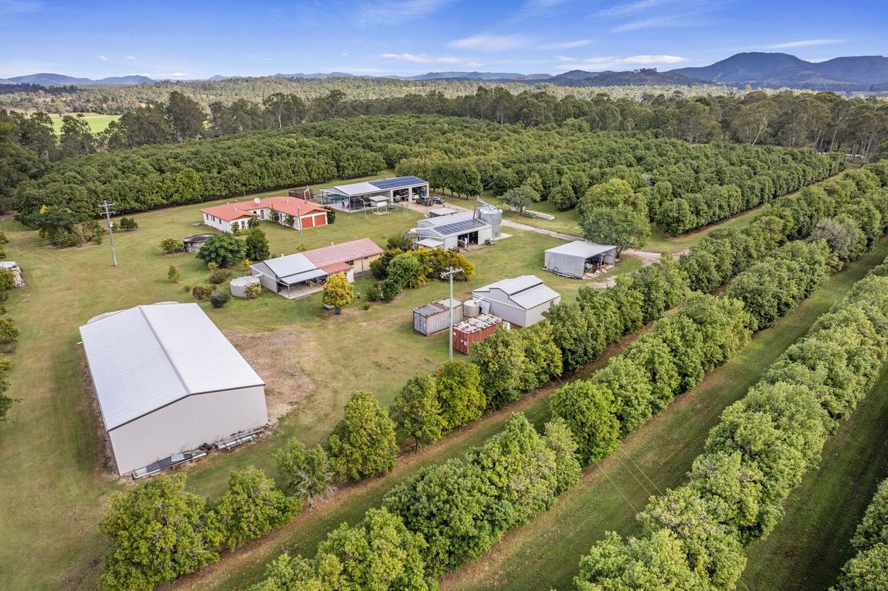 719 Scotchy Pocket Road, Scotchy Pocket For Sale by Farmbuy.com - image 24