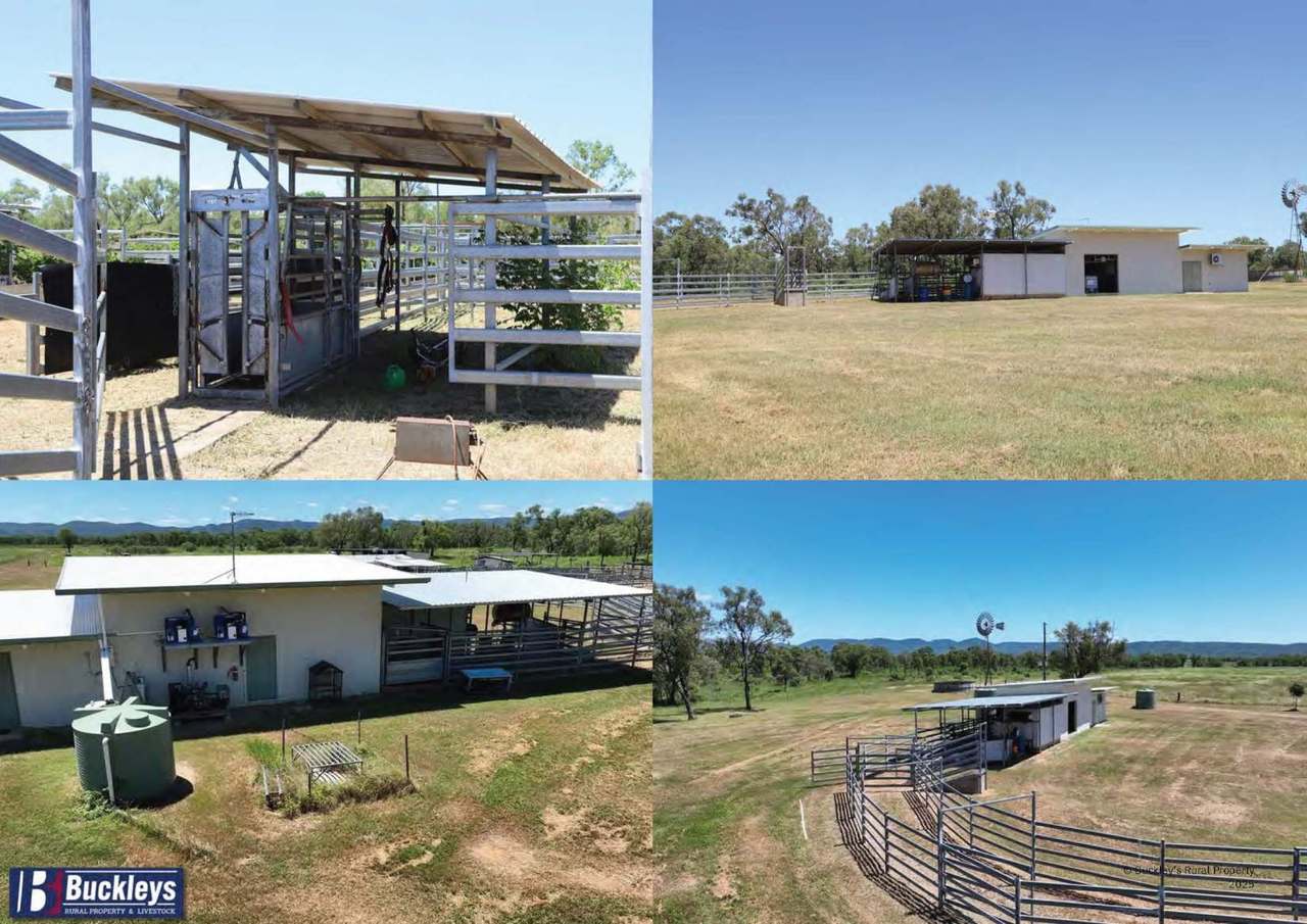 Developmental Road, Lakeland Auction by Farmbuy.com - image 6