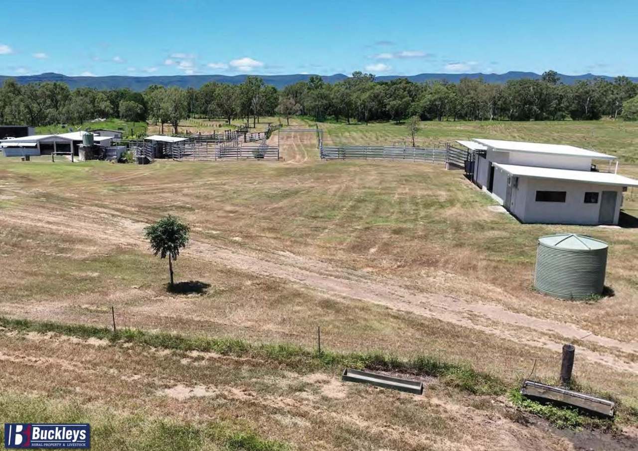 Developmental Road, Lakeland Auction by Farmbuy.com - image 3