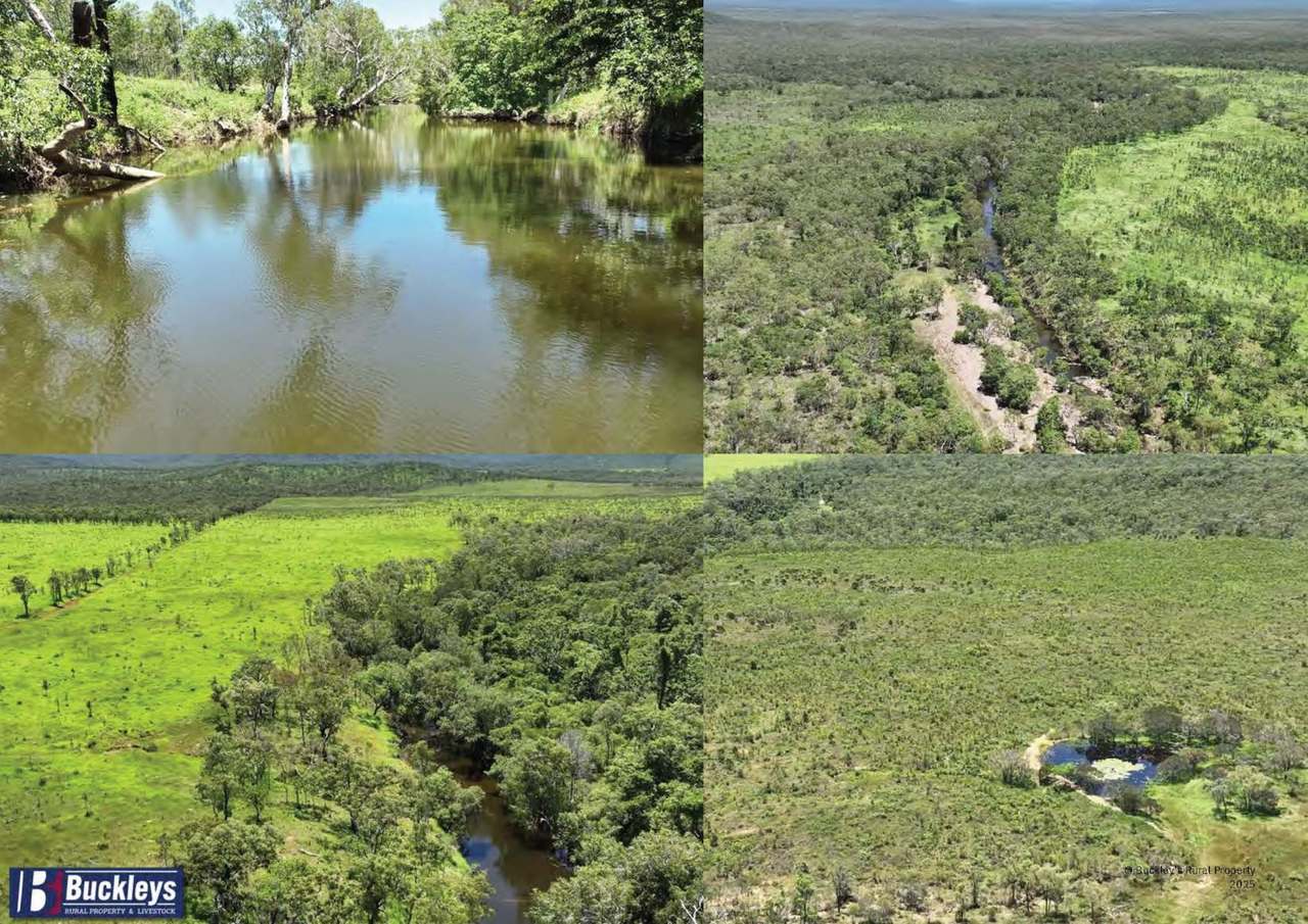 Developmental Road, Lakeland Auction by Farmbuy.com - image 7