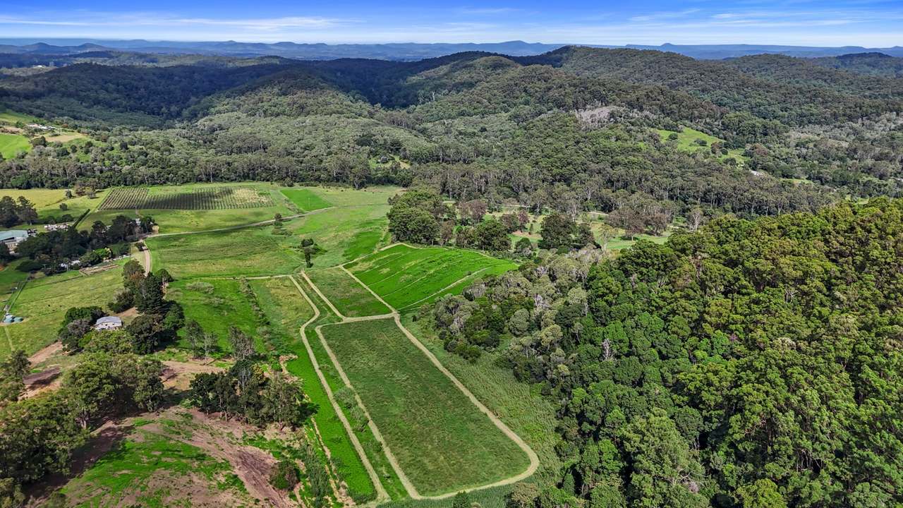 413 Wilsons Pocket Road, Wilsons Pocket For Sale by Farmbuy.com - image 7