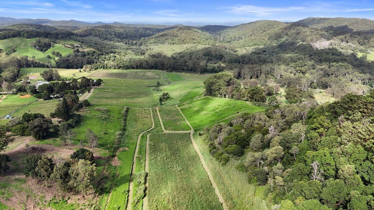 413 Wilsons Pocket Road, Wilsons Pocket For Sale by Farmbuy.com - image 6