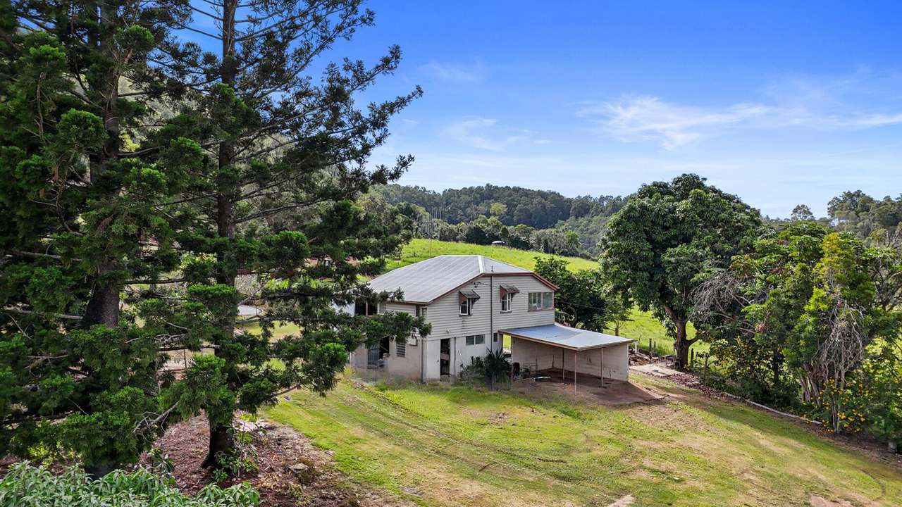 413 Wilsons Pocket Road, Wilsons Pocket For Sale by Farmbuy.com - image 8
