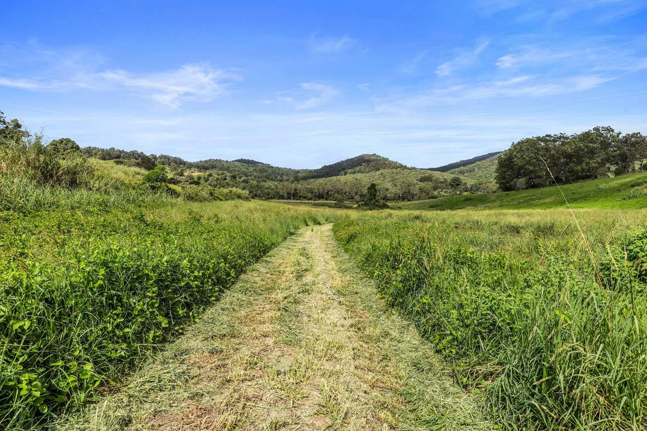 413 Wilsons Pocket Road, Wilsons Pocket For Sale by Farmbuy.com - image 2