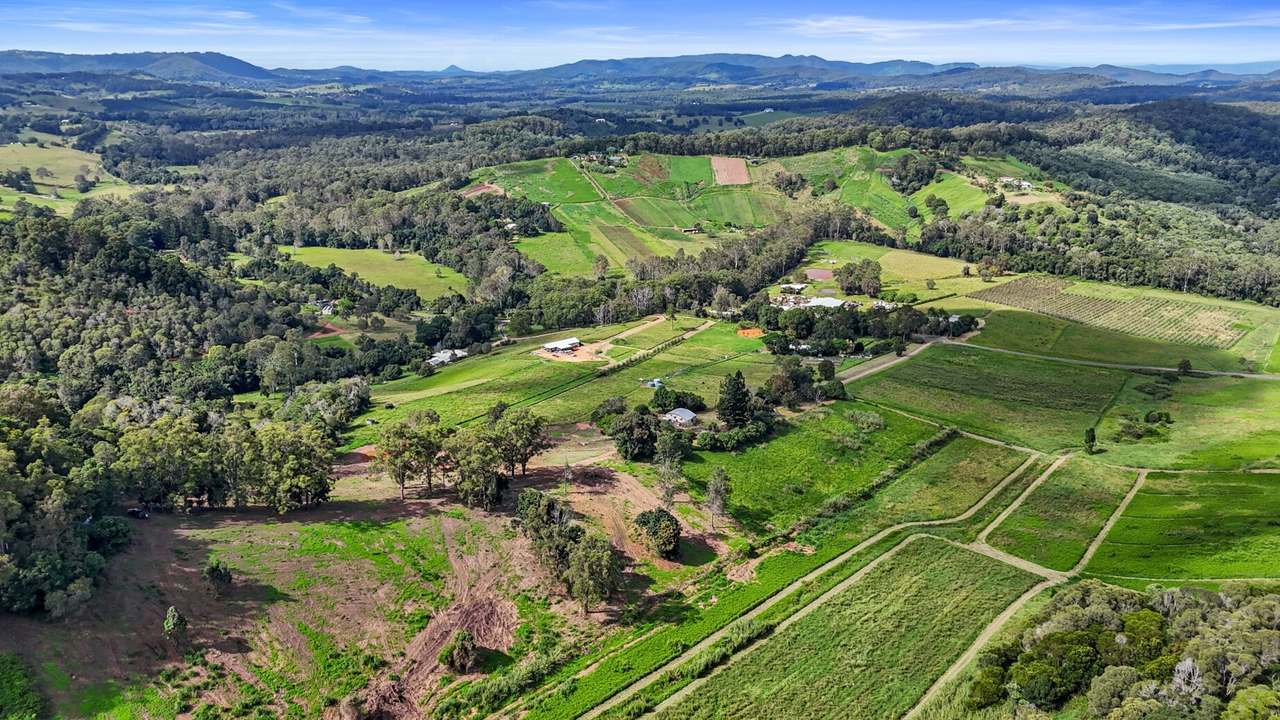 413 Wilsons Pocket Road, Wilsons Pocket For Sale by Farmbuy.com - image 23
