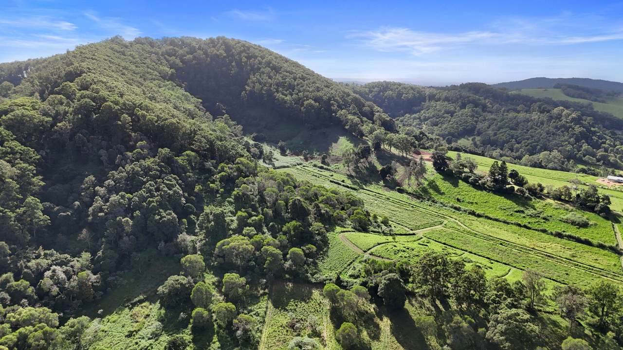 413 Wilsons Pocket Road, Wilsons Pocket For Sale by Farmbuy.com - image 19