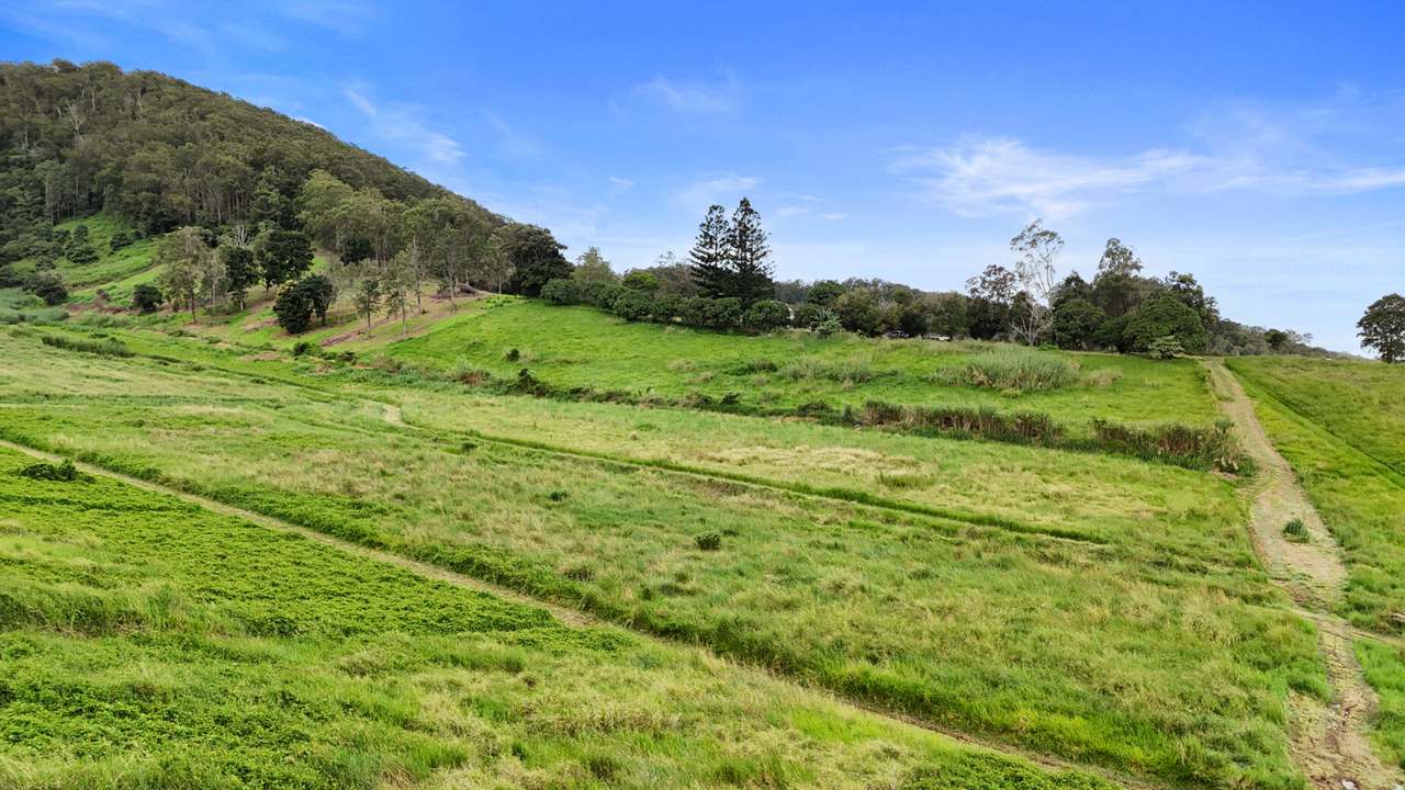 413 Wilsons Pocket Road, Wilsons Pocket For Sale by Farmbuy.com - image 5
