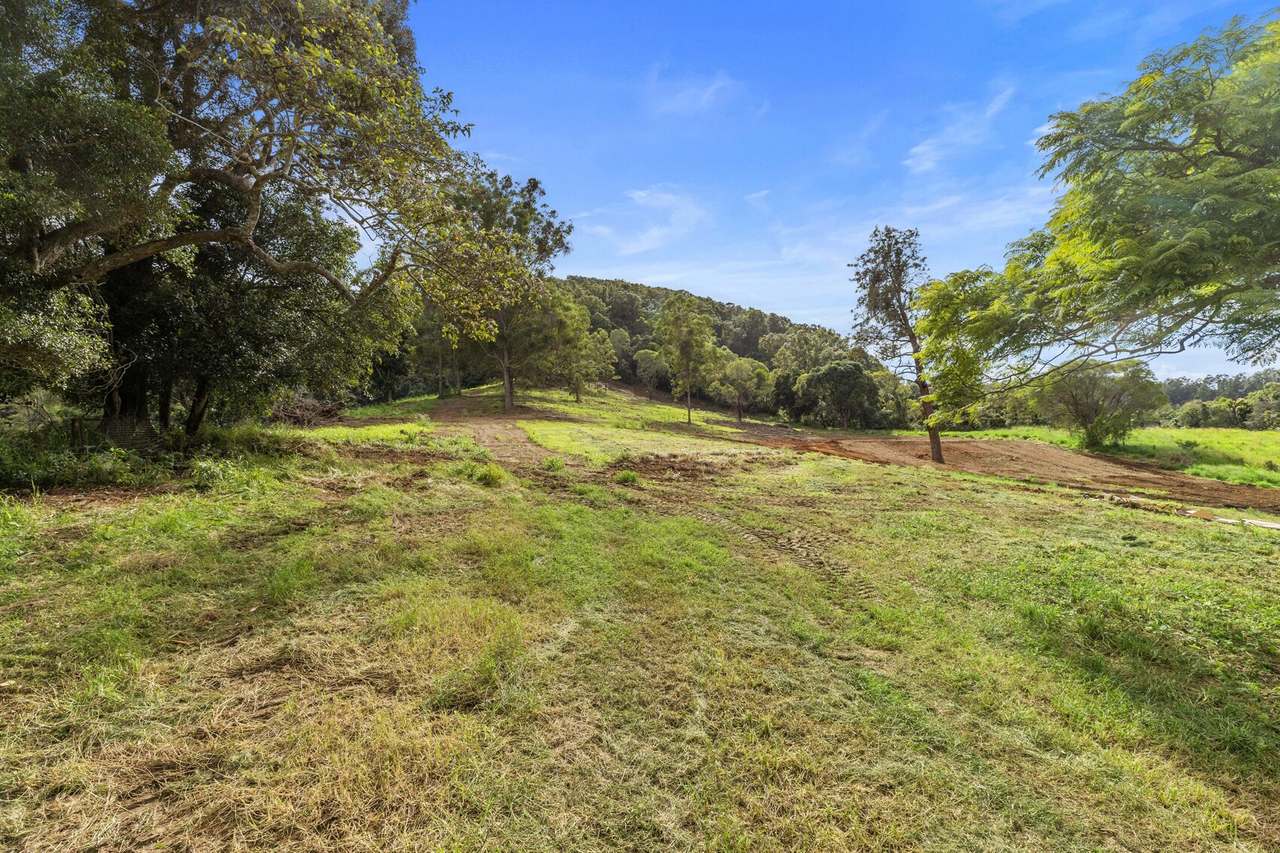 413 Wilsons Pocket Road, Wilsons Pocket For Sale by Farmbuy.com - image 15