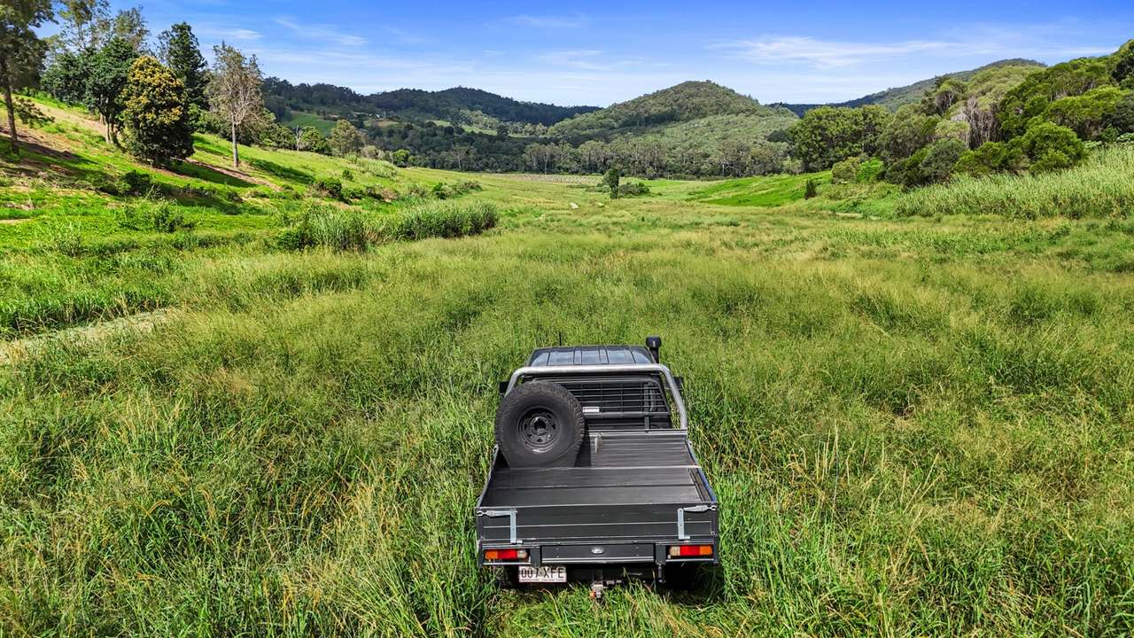 413 Wilsons Pocket Road, Wilsons Pocket For Sale by Farmbuy.com - image 18