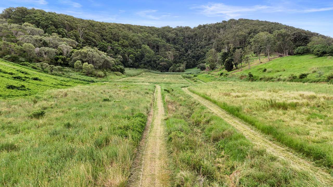 413 Wilsons Pocket Road, Wilsons Pocket For Sale by Farmbuy.com - image 4