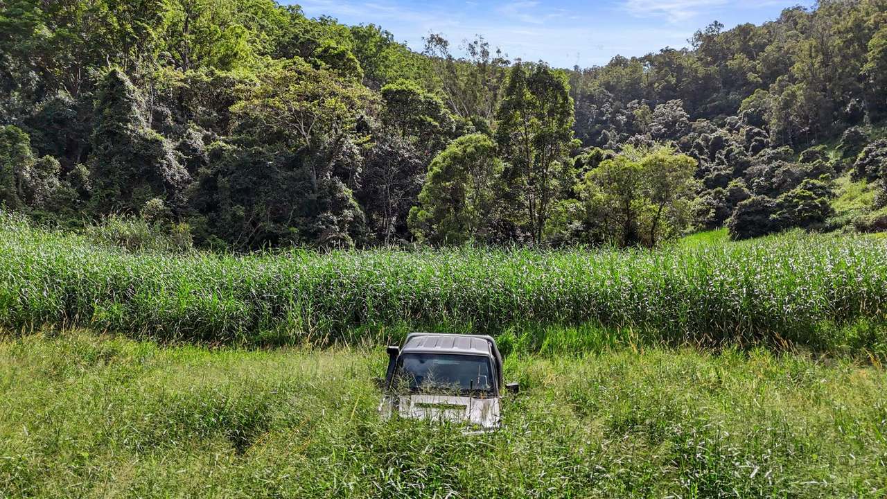413 Wilsons Pocket Road, Wilsons Pocket For Sale by Farmbuy.com - image 16