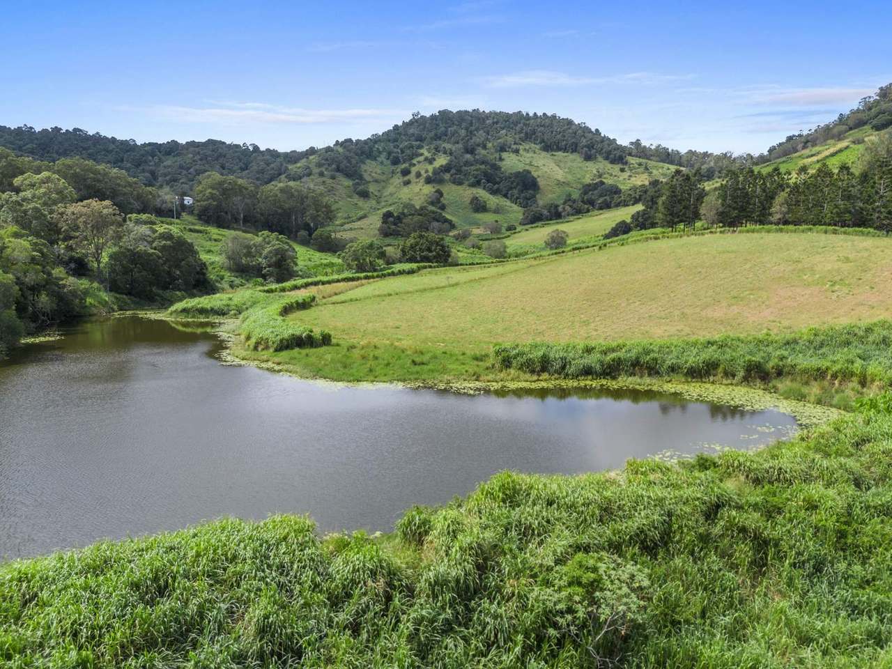 85 Robinson Road, Calico Creek For Sale by Farmbuy.com - image 2