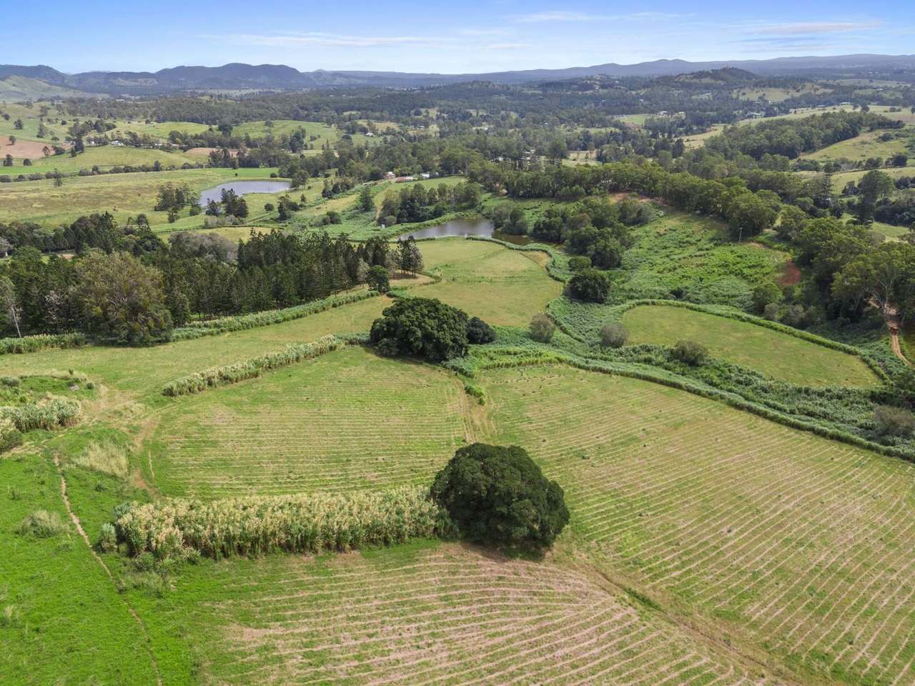 85 Robinson Road, Calico Creek For Sale by Farmbuy.com - image 21