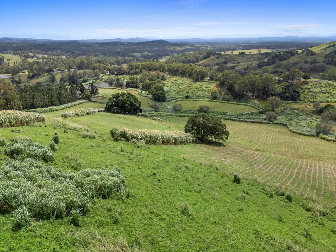 85 Robinson Road, Calico Creek For Sale by Farmbuy.com - image 20