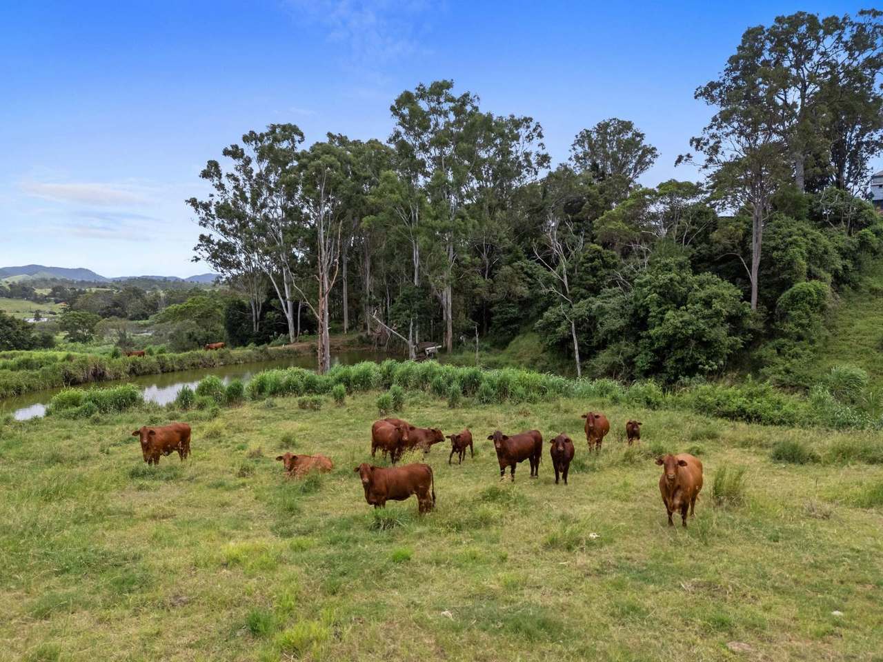 85 Robinson Road, Calico Creek For Sale by Farmbuy.com - image 25