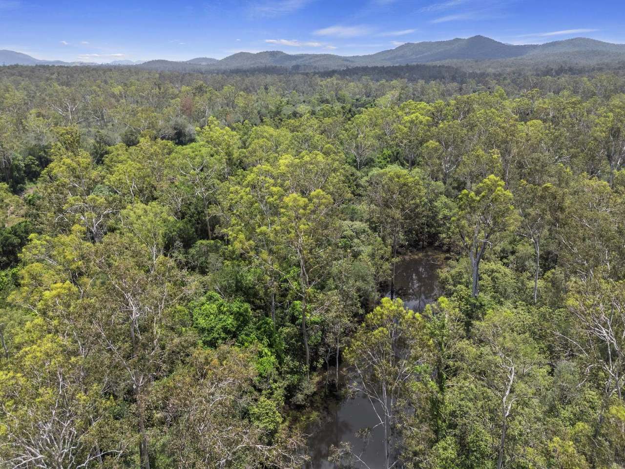 Lot 80, Athertons Road, Glen Echo For Sale by Farmbuy.com - image 15