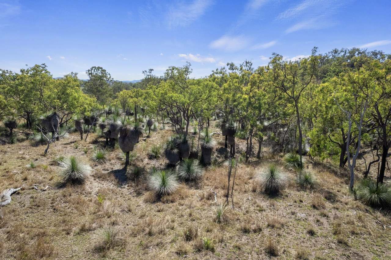 Lot 423 West Coast Road, Kilkivan For Sale by Farmbuy.com - image 15