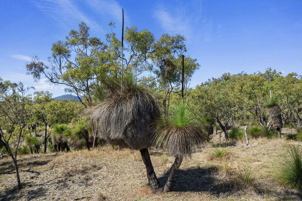 Lot 423 West Coast Road, Kilkivan For Sale by Farmbuy.com - image 16