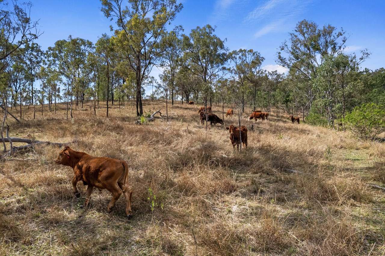 Lot 423 West Coast Road, Kilkivan For Sale by Farmbuy.com - image 10