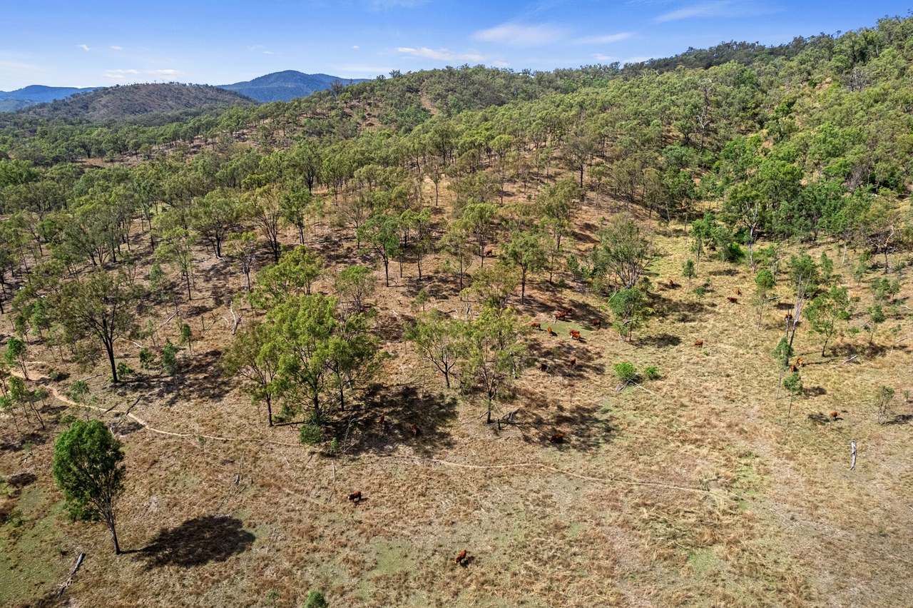 Lot 423 West Coast Road, Kilkivan For Sale by Farmbuy.com - image 8