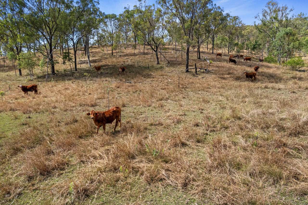 Lot 423 West Coast Road, Kilkivan For Sale by Farmbuy.com - image 9