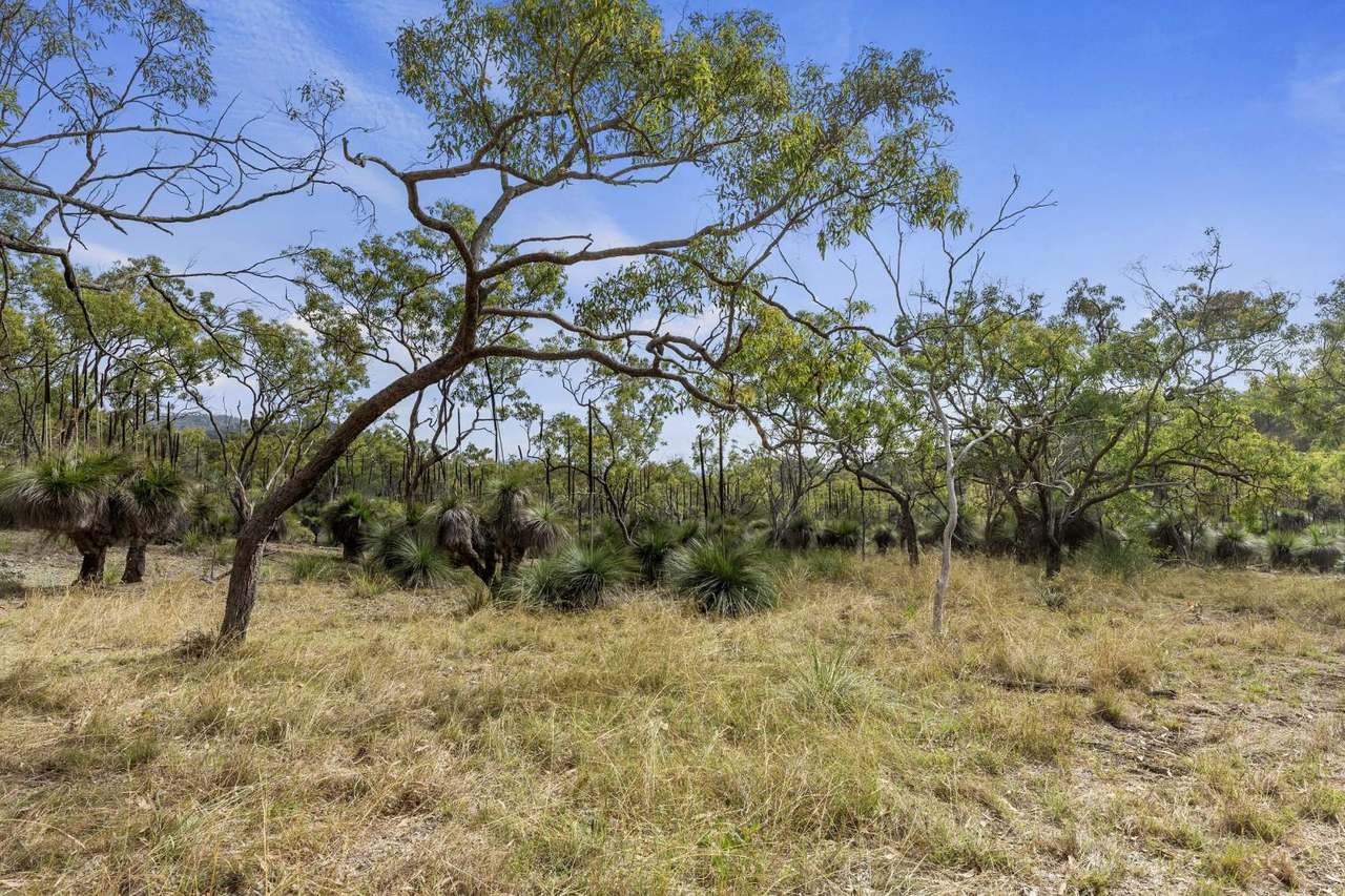 Lot 423 West Coast Road, Kilkivan For Sale by Farmbuy.com - image 14