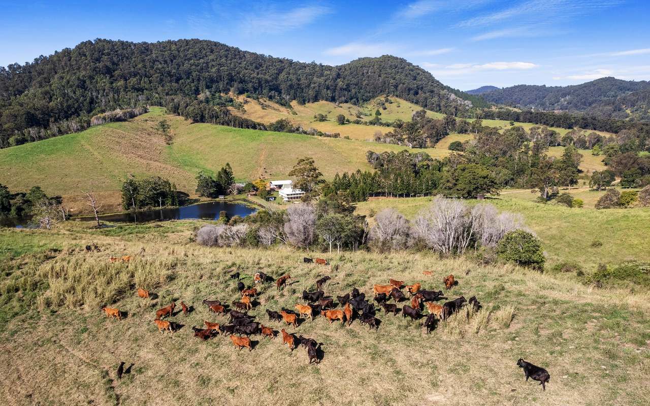 160 Buchanan Road, Ross Creek For Sale by Farmbuy.com - image 23