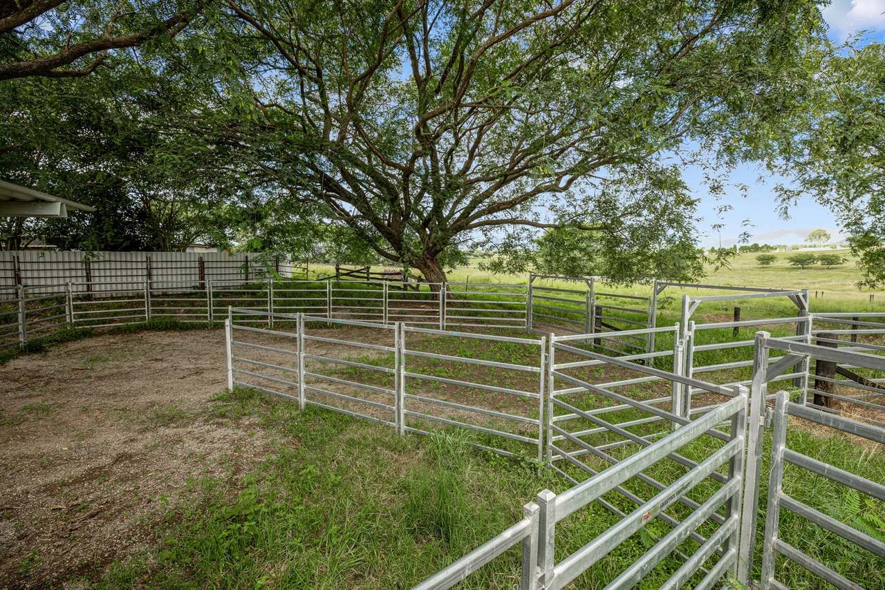 46 Abel Road, Lower Wonga For Sale by Farmbuy.com - image 24