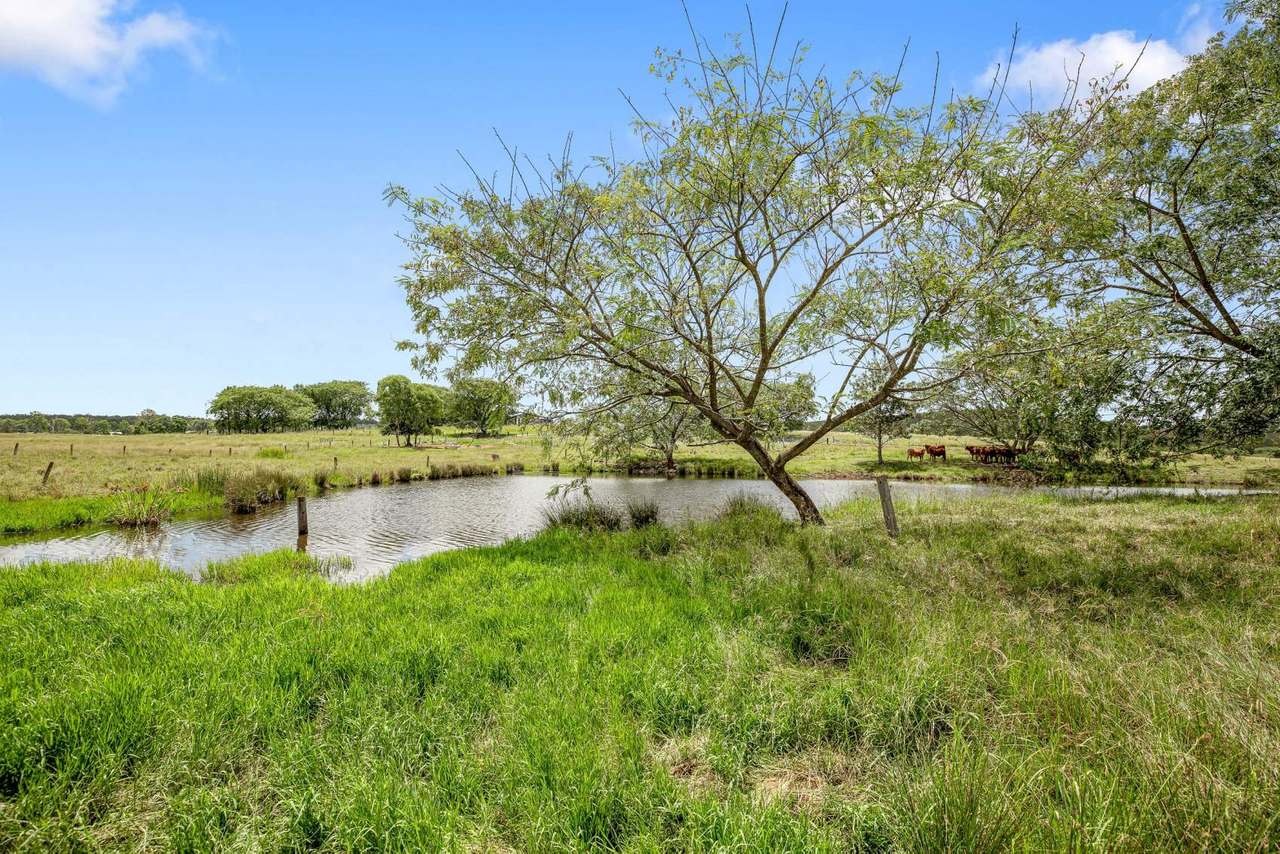 46 Abel Road, Lower Wonga For Sale by Farmbuy.com - image 31