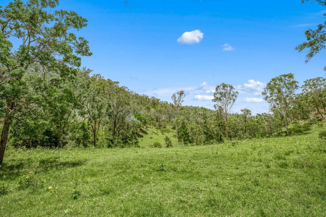 1100 Rossmore Road, Black Snake Sold by Farmbuy.com - image 27